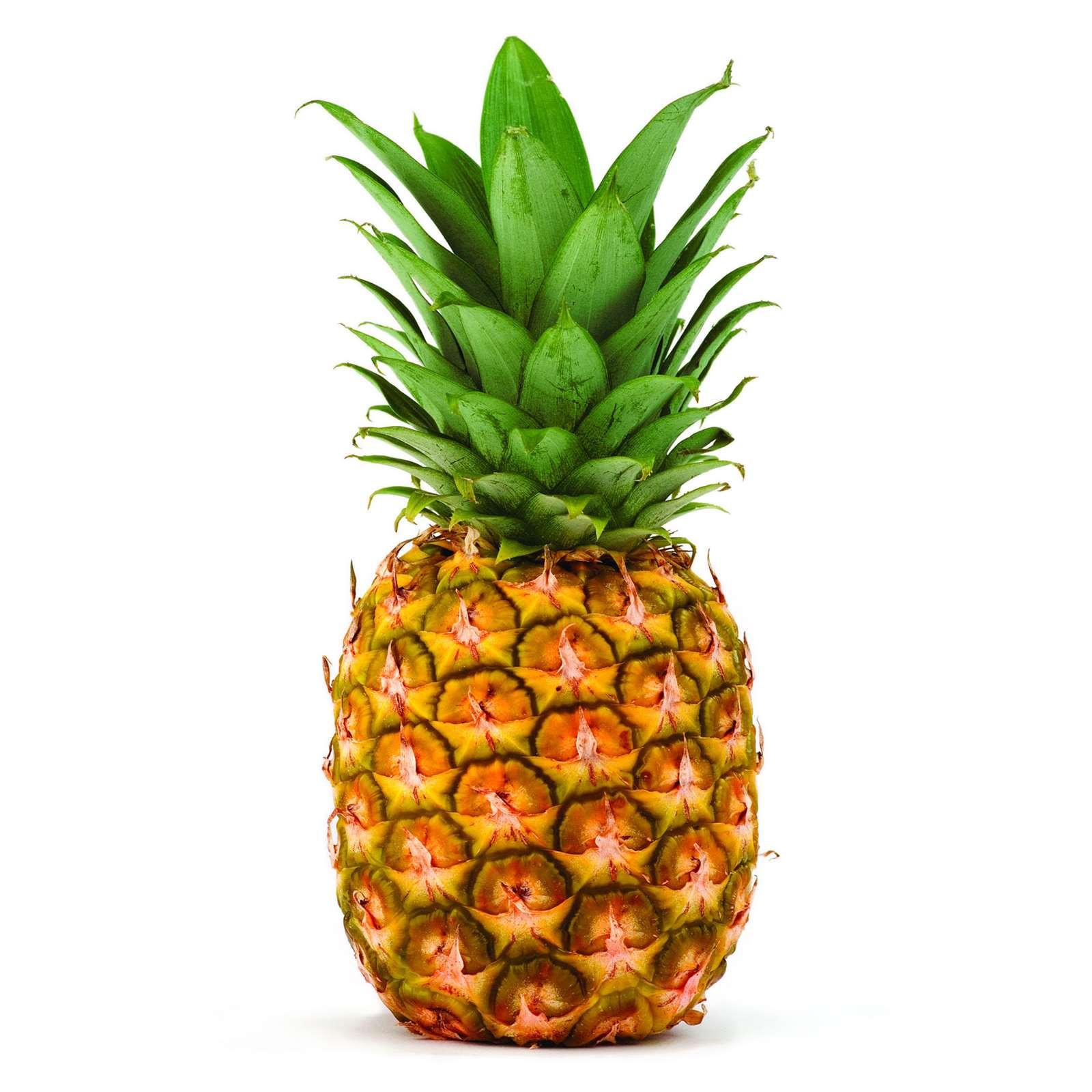 Pineapple 1Pcs