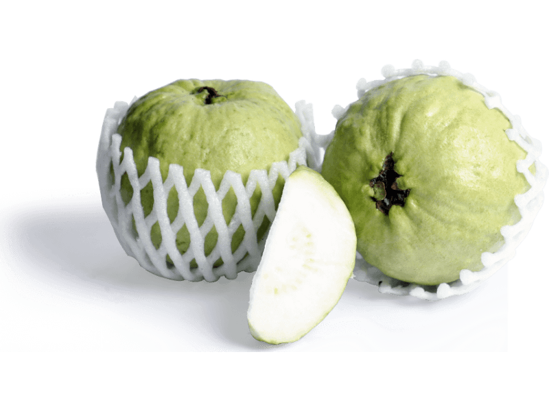 Guava -Thai 1Pc (450-550G)