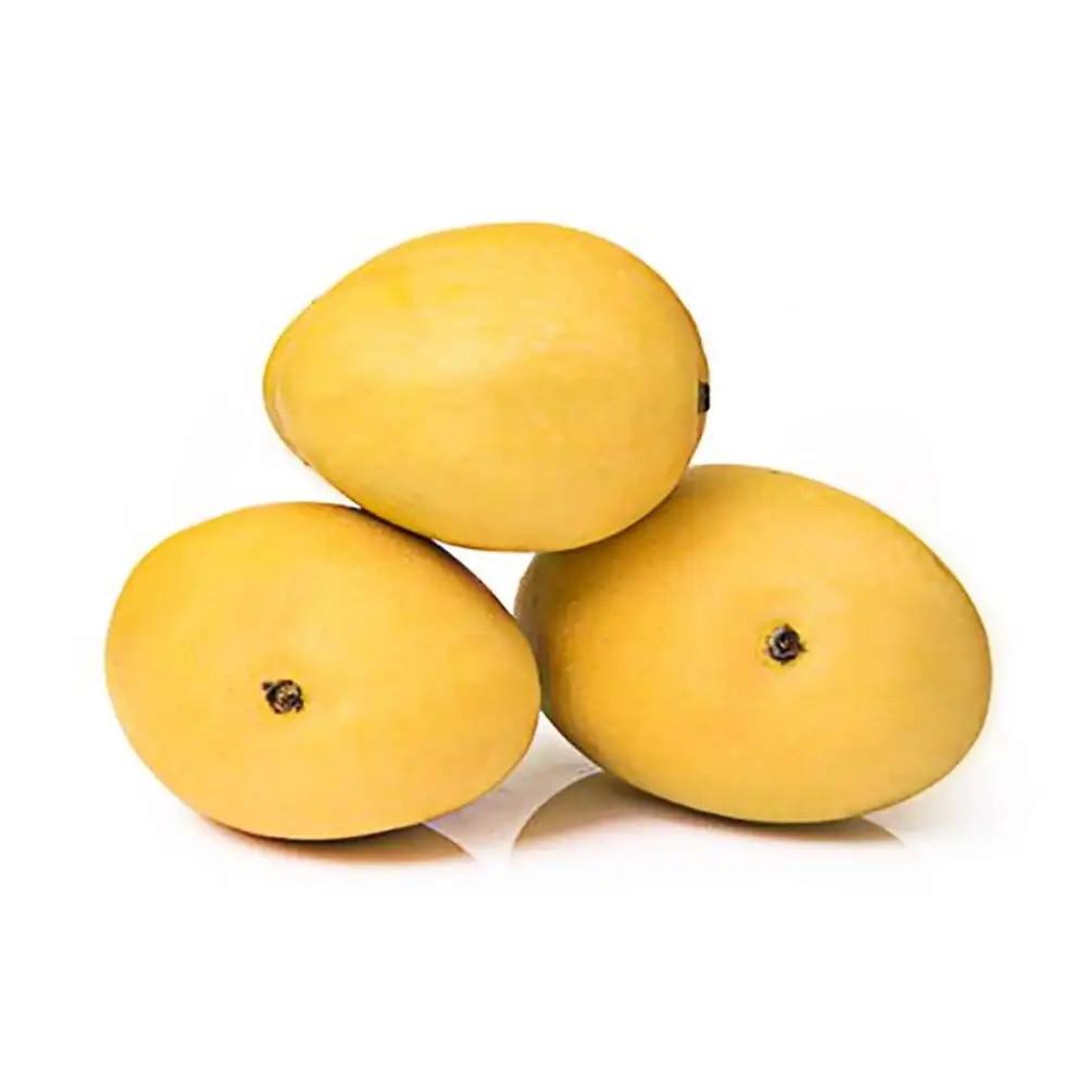 Mango Safeda Golden 2Pc (700-900G)