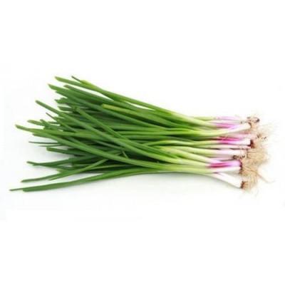 Spring Onion 250g