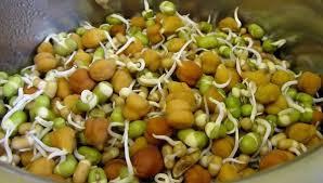 Sprouts Mix Dal 200 Gm