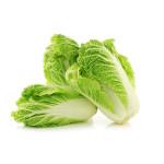 Chinese Cabbage 500g