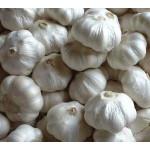 Garlic (lehsun) 100g