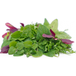 Hydroponic Herb Mix by Ogreens 50G