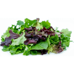 Ogreens Hydroponic Salad Mix 250G