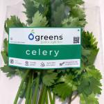 Ogreens Hydroponic Celery 100G