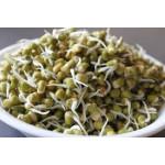 Sprouts Moong Dal 200 Gm